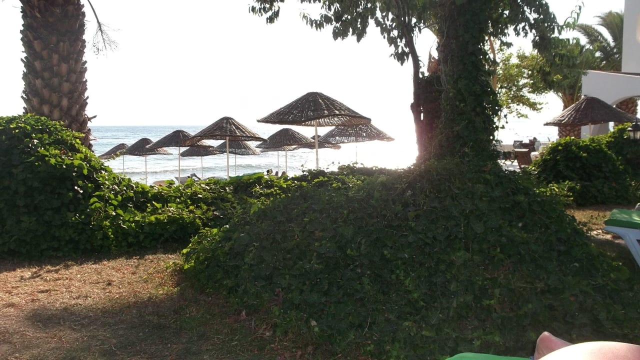 Schattenplätze Dogan Paradise Beach