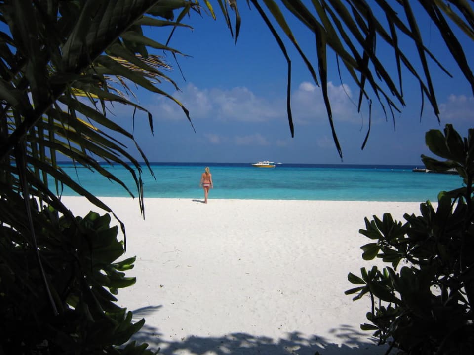 Ausblick auf Lagune Summer Island Maldives