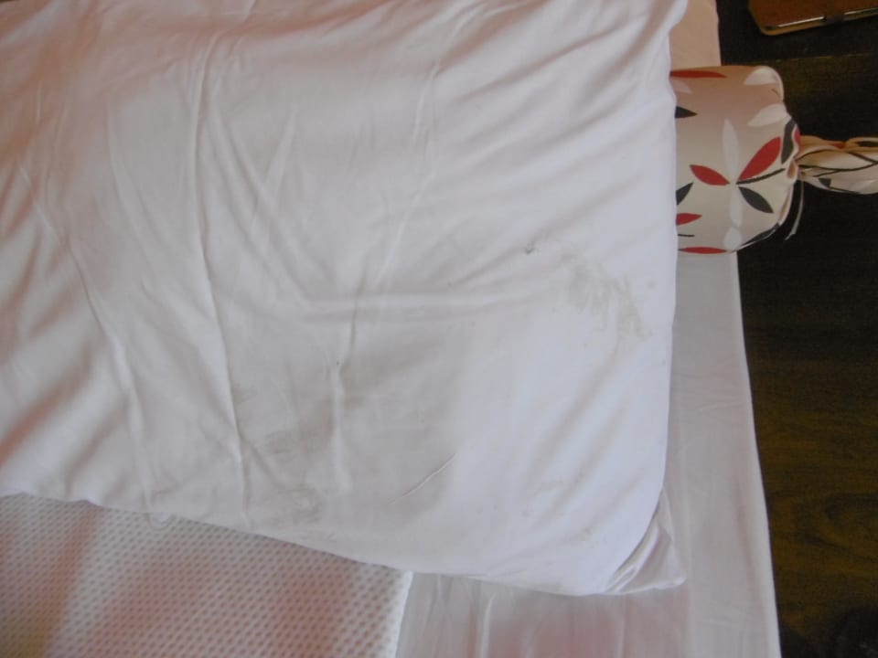 Zimmer FUN&SUN Smart Hane Sun Hotel