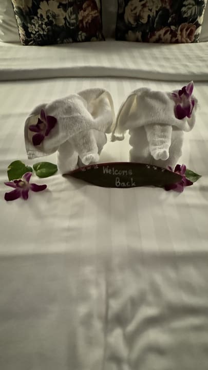 Zimmer The Pavilions Phuket