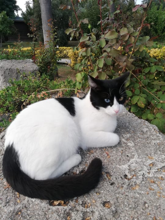 Gartenanlage Sunis Kumköy Beach Resort Hotel & Spa