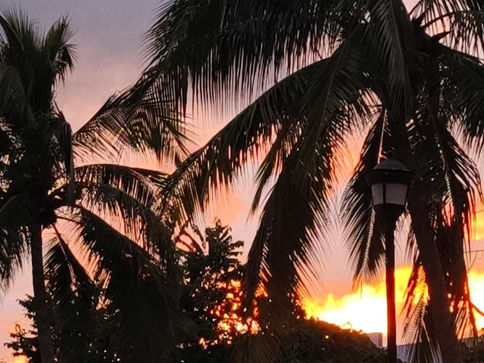 Gartenanlage Viva Azteca by Wyndham - All Inclusive Resort