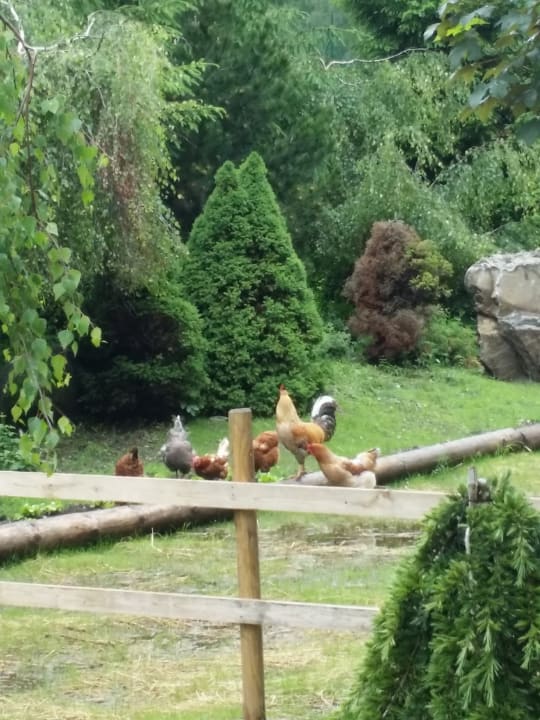 Gartenanlage Alphotel Tyrol