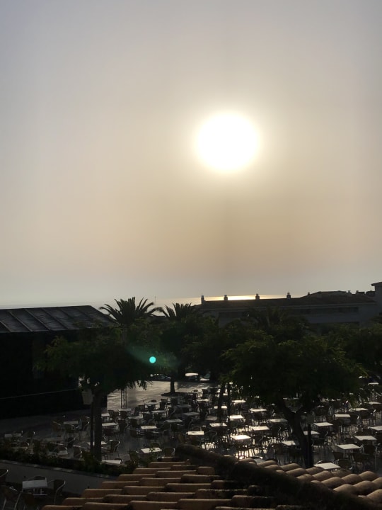 Zimmer blau punta reina