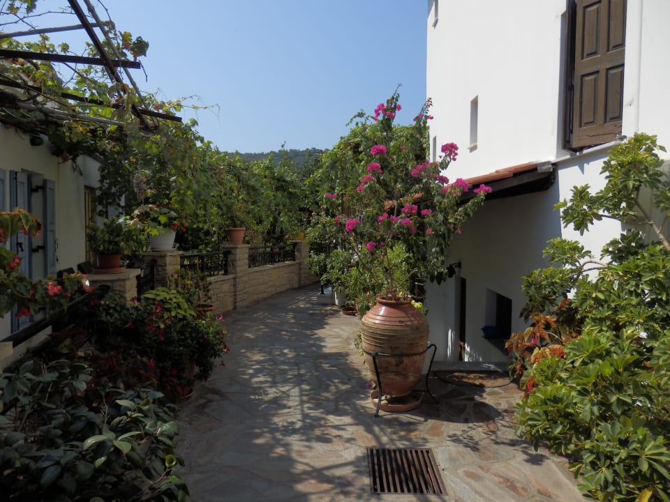 Gartenanlage Hotel Golden Sun