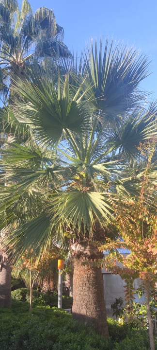 Ausblick Hane Family Resort