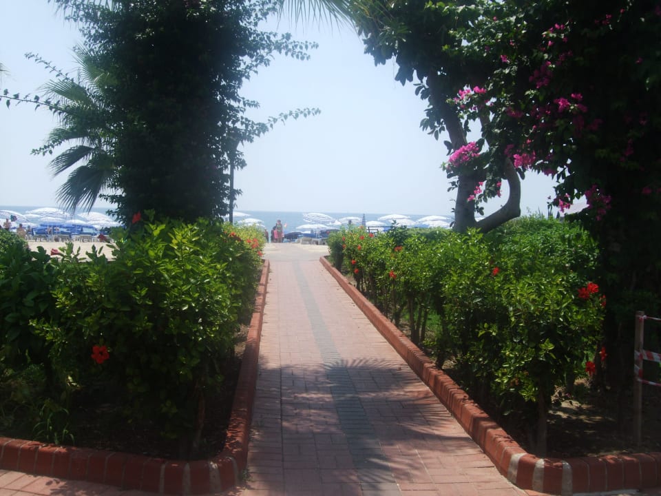 Weg zum Strand Hotel Grand Zaman Beach