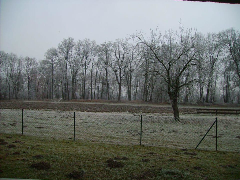 Aussicht Landhaus Riedl