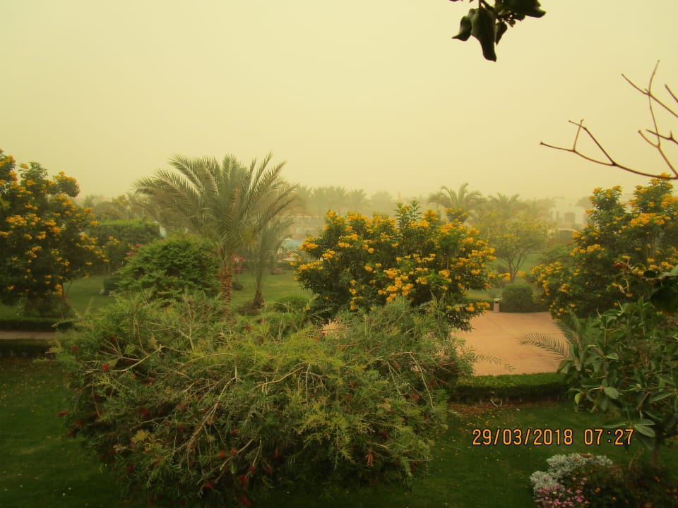 Ein Sandsturm verdeckt die Sonne Fantazia Resort Marsa Alam