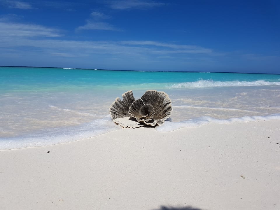 Strand Kuramathi Maldives