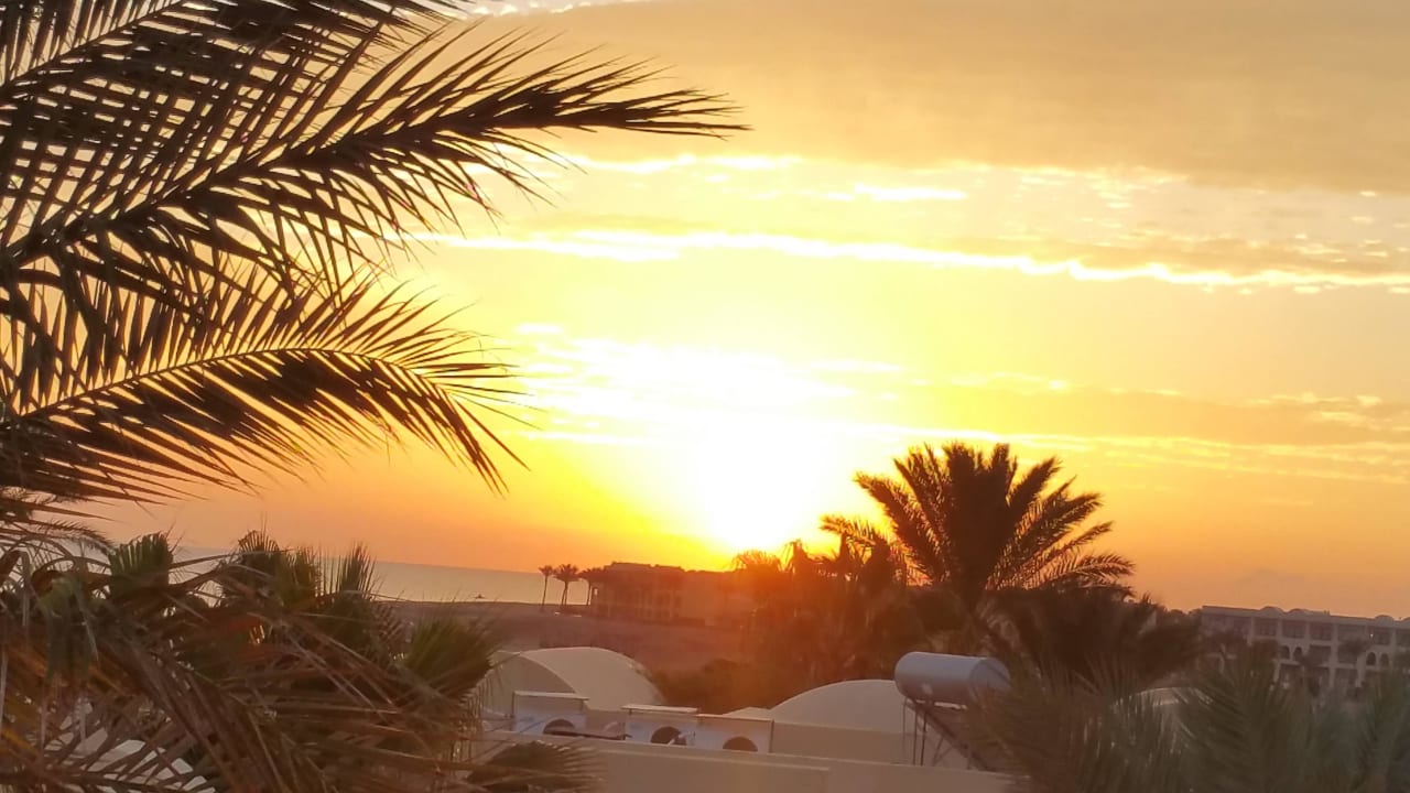 Sonnenaufgang Steigenberger Coraya Beach - Adults only