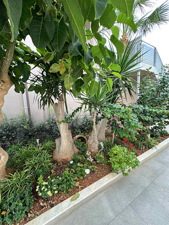 Außenansicht High Beach Resort