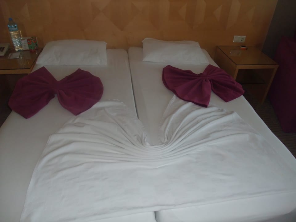 Immer was Neues Sealife Buket Resort & Beach