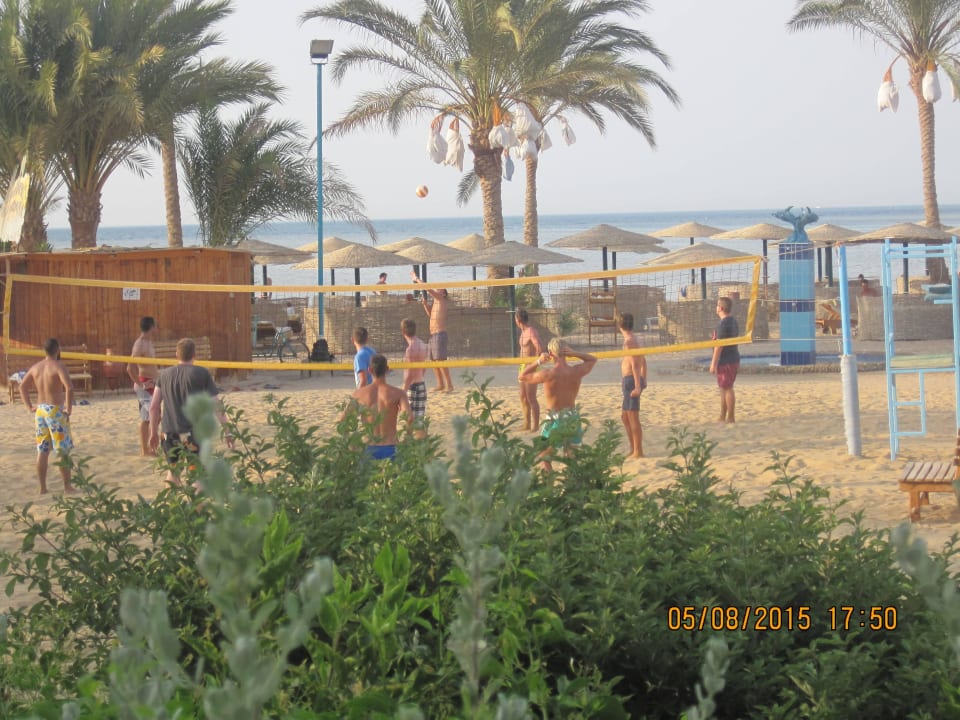 Volleyball. Golden Beach Resort