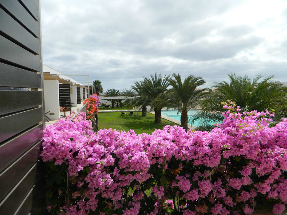 Blick von unserem Balkon Hotel Dunas De Sal