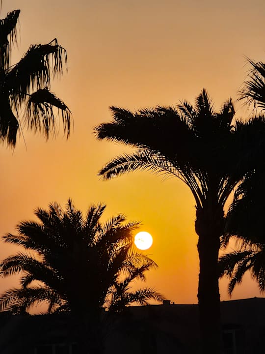 Ausblick Club Paradisio El Gouna, Red Sea