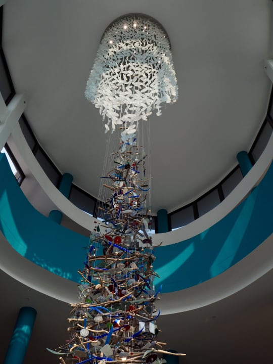 Sonstiges The Delight