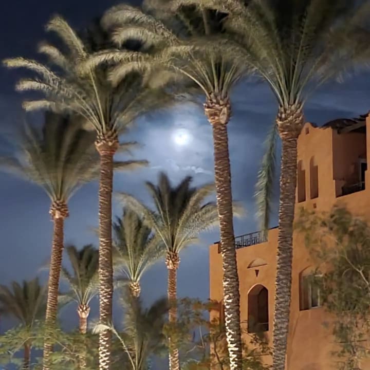 Gartenanlage Jaz Makadi Oasis Resort