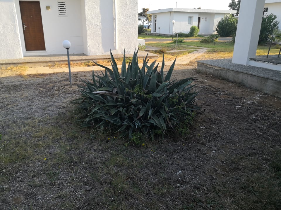 Gartenanlage Civitel Creta Beach
