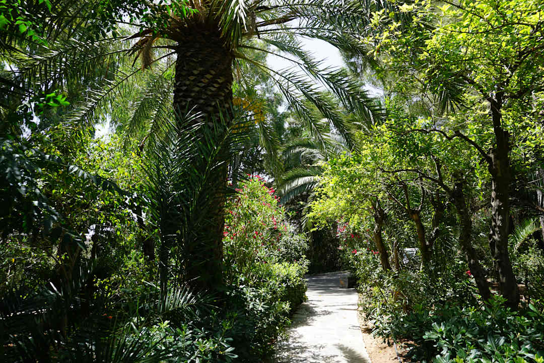 Gartenanlage Apollonia Beach Resort & Spa