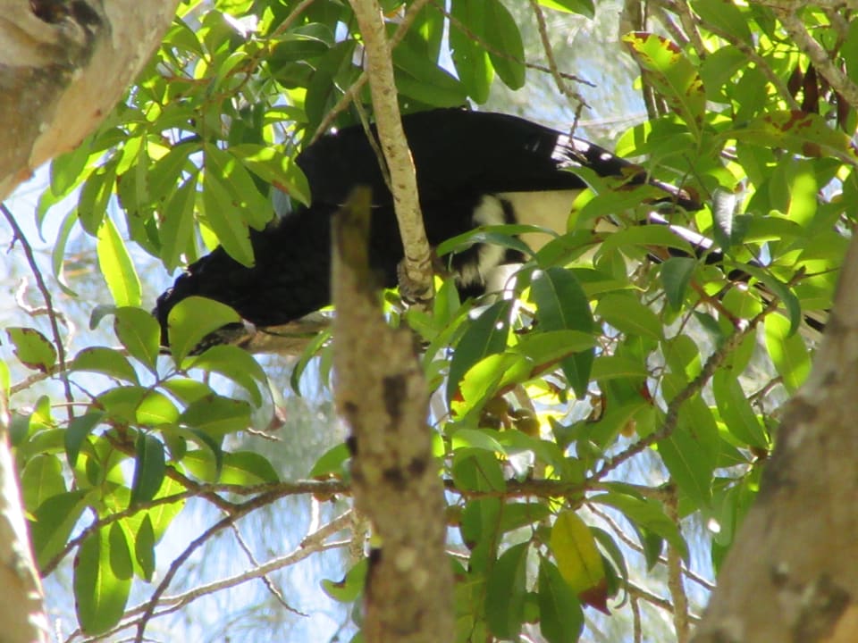Gartenanlage Baobab Beach Resort & Spa