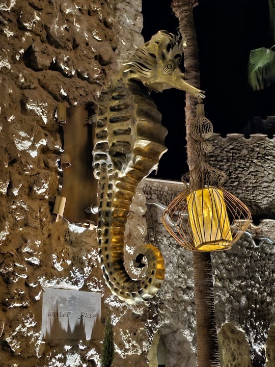 Sonstiges Pickalbatros Citadel Resort