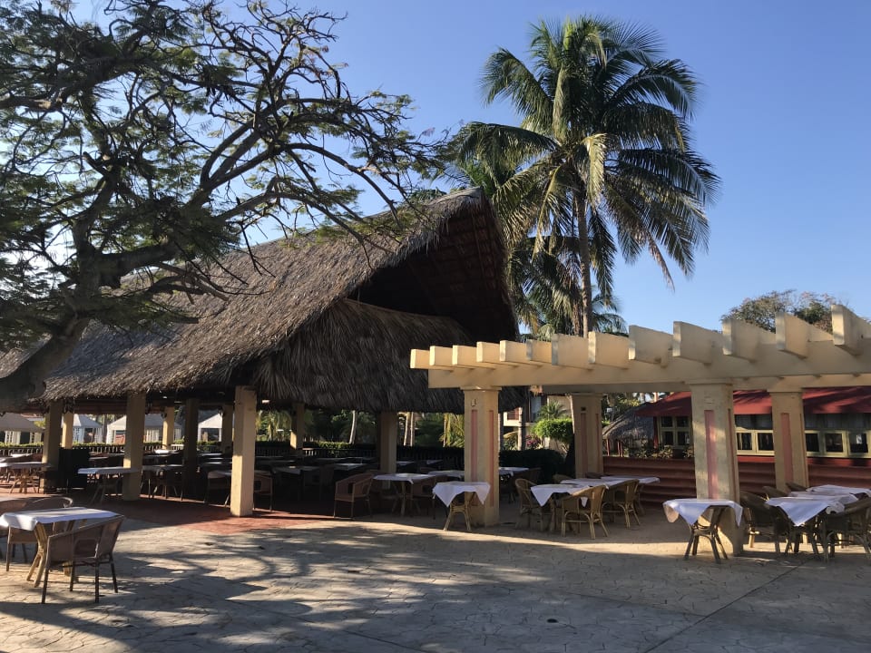 Gartenanlage Hotel Roc Barlovento