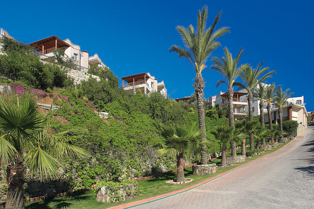 Palm trees Golden Age Hotel Crystal Bodrum