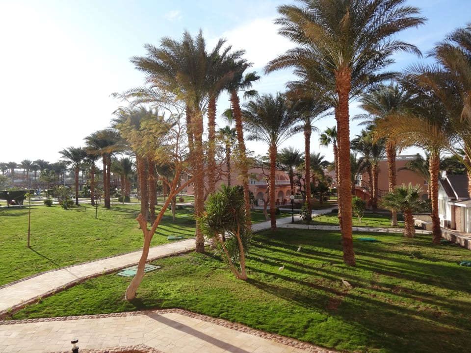 Blick von unseren Balkon Beach Albatros Resort