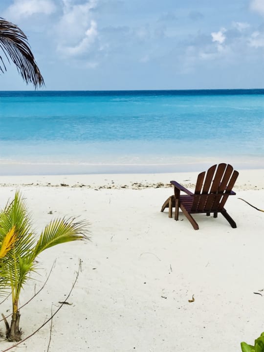 Strand Summer Island Maldives