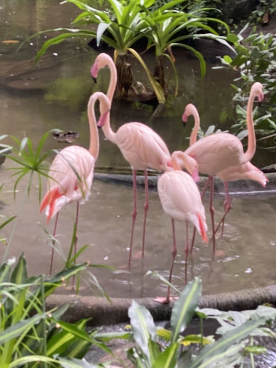 Sonstiges Tropical Islands Resort