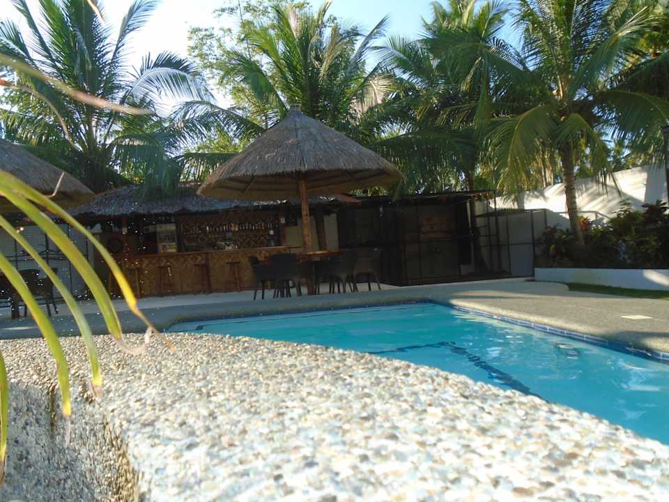 Pool Parrot Resort Moalboal
