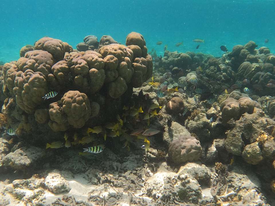 Strand Jawakara Islands Maldives