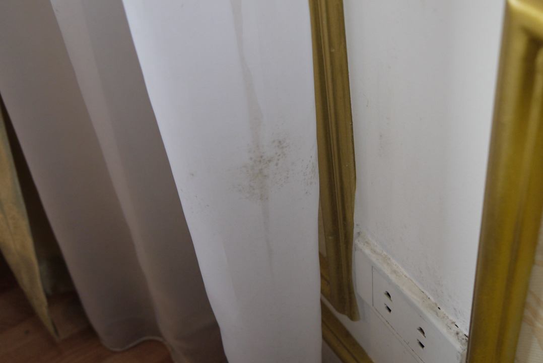 Mould on wall Hotel Thaison Palace