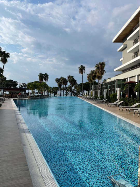 Pool Acanthus Cennet Barut Collection