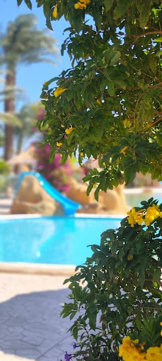 Pool Lotus Bay Beach Resort