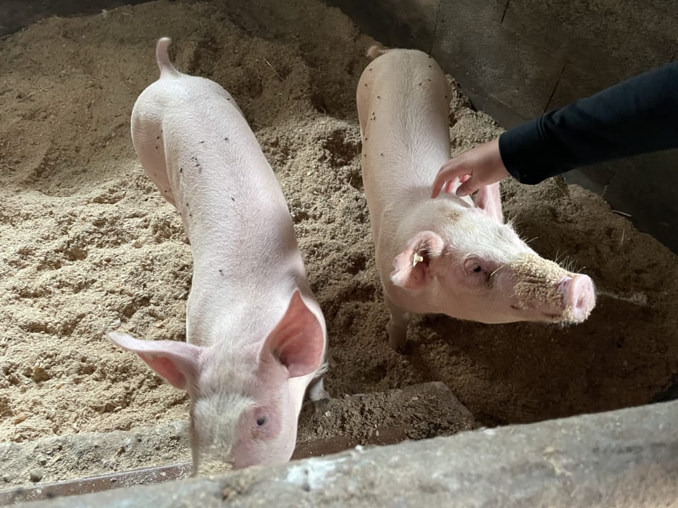 Sonstiges Ferienwohnungen Grub-Daniel-Hof