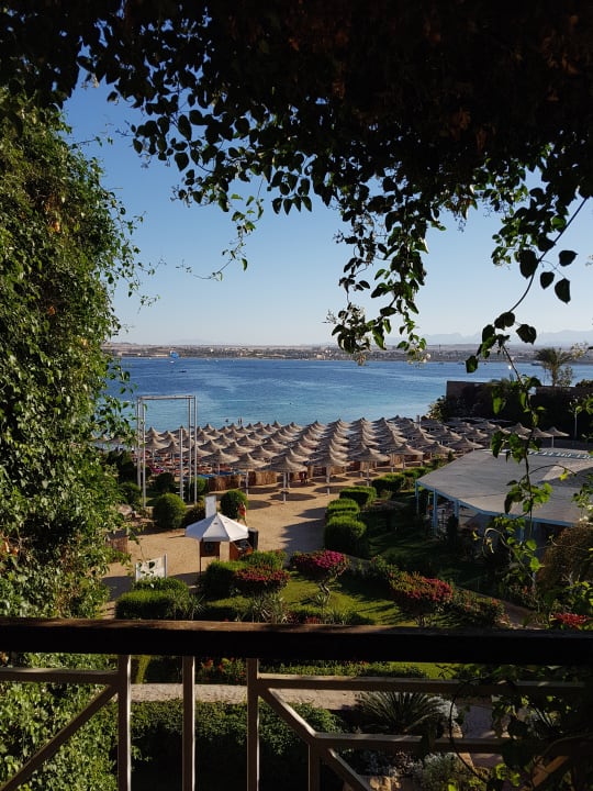 Zimmer Prima Life Makadi Resort
