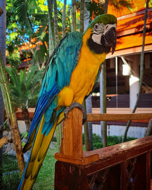 Gartenanlage Anantara Hua Hin Resort
