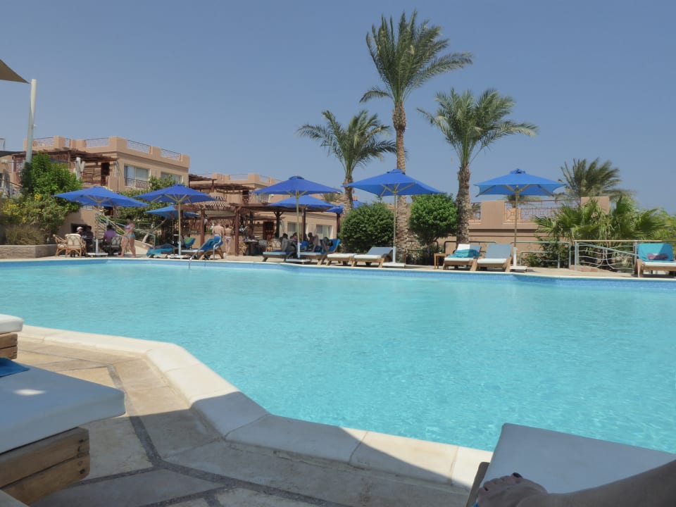 Pool Shams Prestige Abu Soma-Adults Only