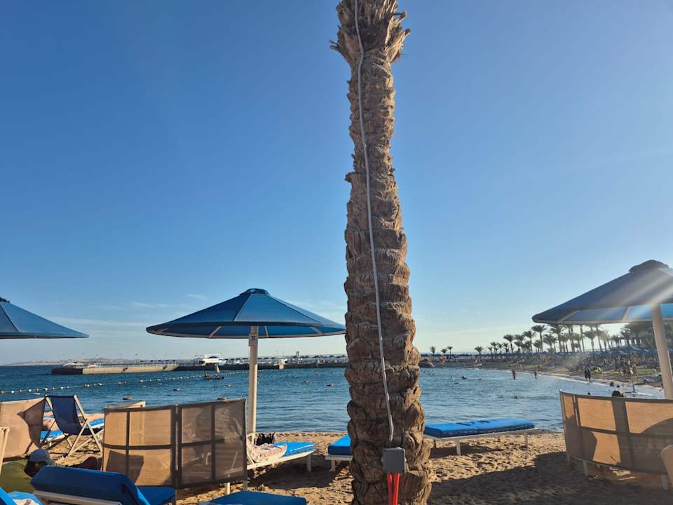 Strand Pickalbatros Aqua Blu Resort - Hurghada