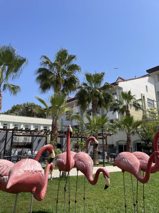 Außenansicht Hotel Süral Resort