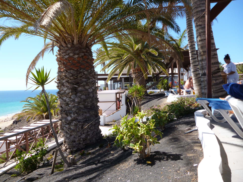 Gartenanlage Club Jandia Princess