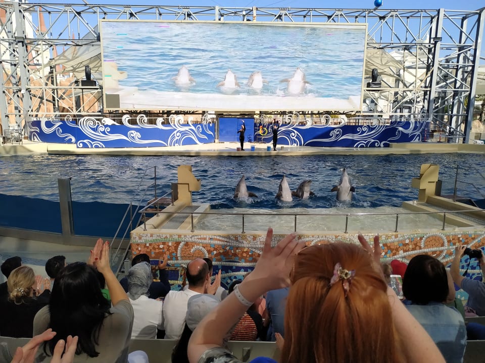 Sport & Freizeit The Land of Legends Kingdom Hotel