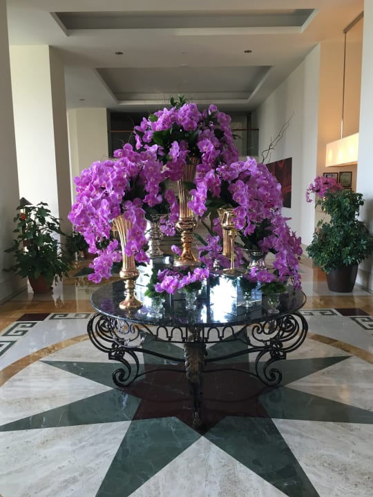 Lobby Arum Barut Collection