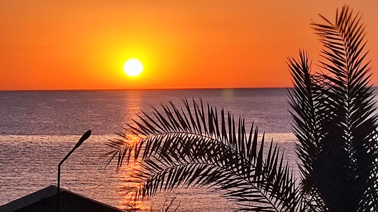 Ausblick Coral Sun Beach