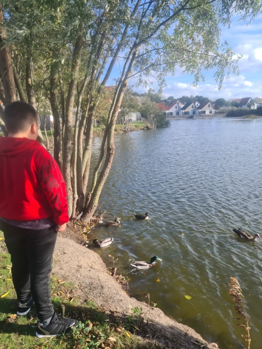 Ausblick Center Parcs Park Zandvoort - Ferienhäuser