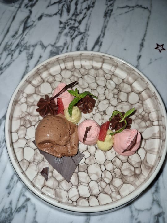 Gastro Acanthus Cennet Barut Collection