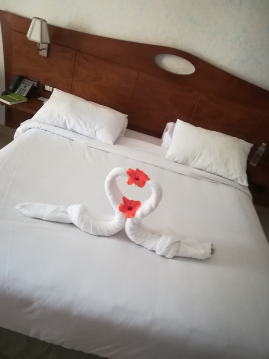 Zimmer Stella Garden Resort & Spa, Makadi Bay