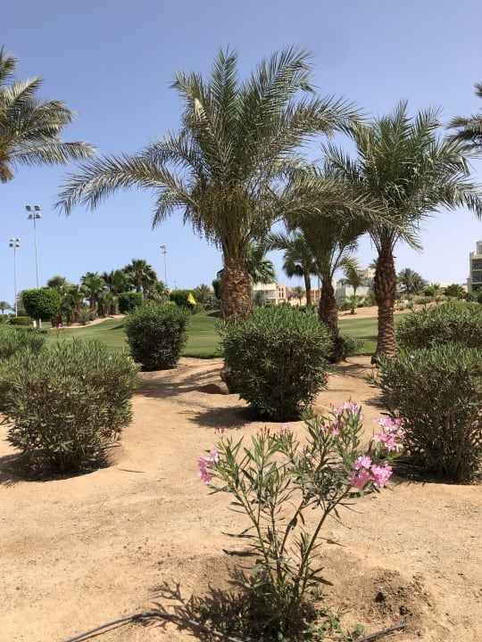 Gartenanlage Steigenberger Aqua Magic